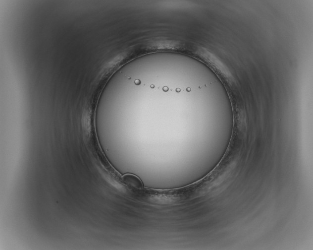 X0000111150537200907071111