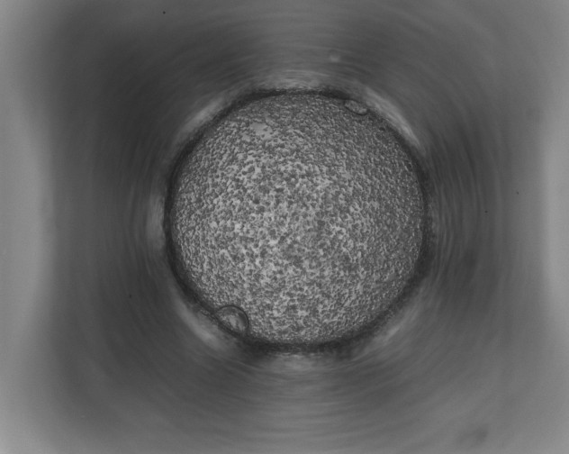 X0000111150538200907071111