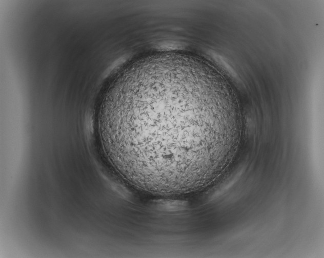 X0000111150539200907071111