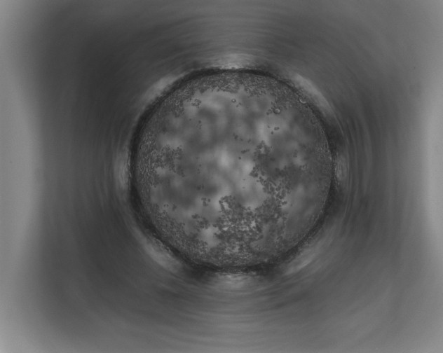 X0000111150540200907071111