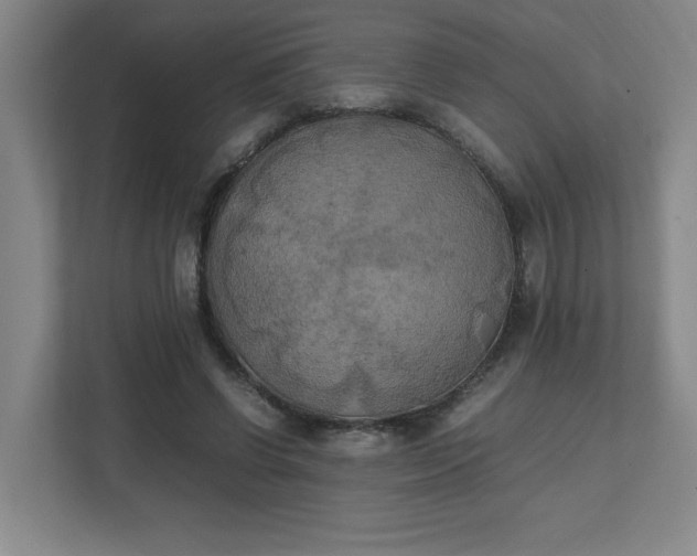 X0000111150542200907071111