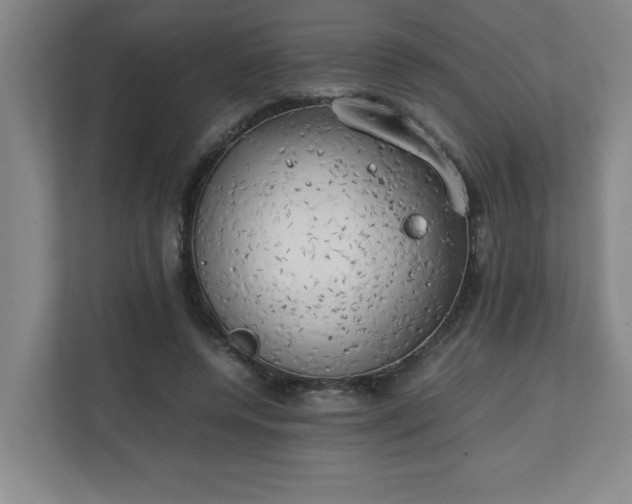 X0000111150544200907071111