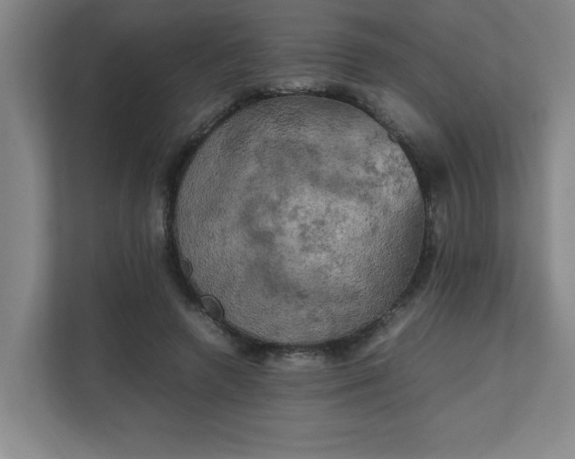 X0000111150546200907071111