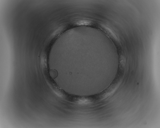 X0000111150547200907071111