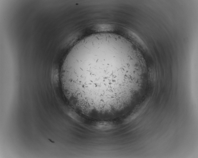 X0000111150549200907071111