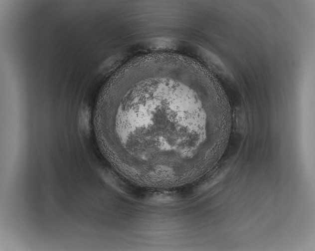 X0000111150550200907071111