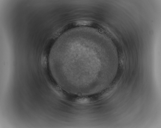 X0000111150551200907071111