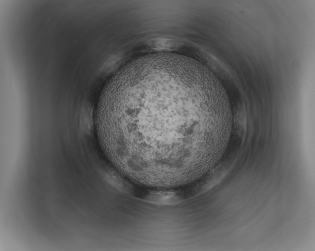 X0000111150554200907071111