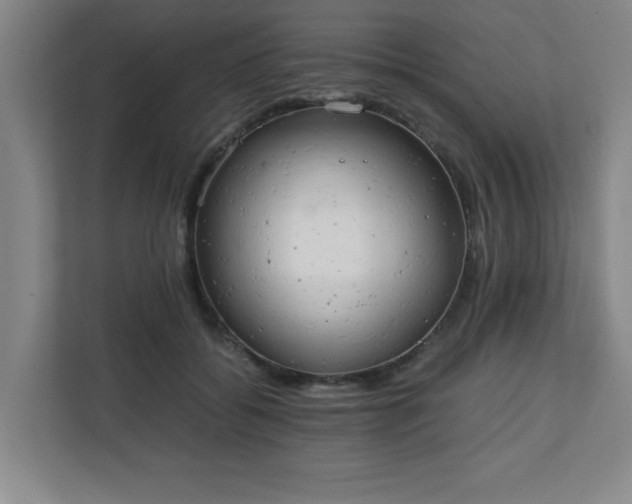 X0000111150556200907071111