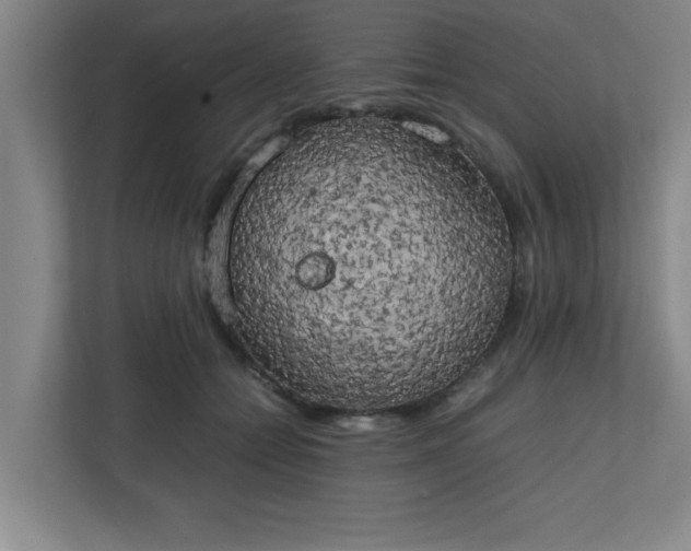 X0000111150558200907071111