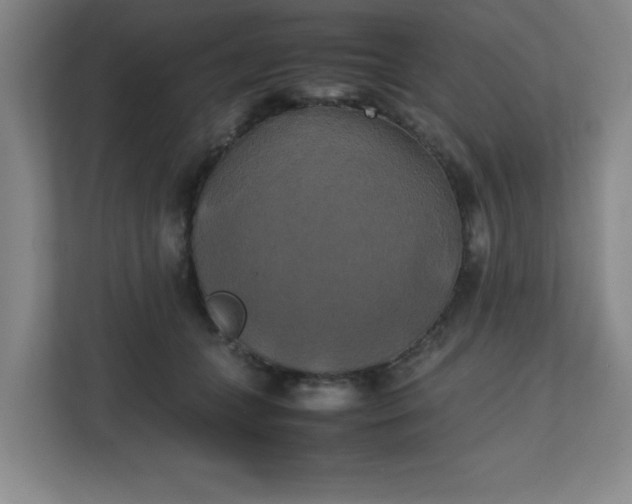 X0000111150559200907071111