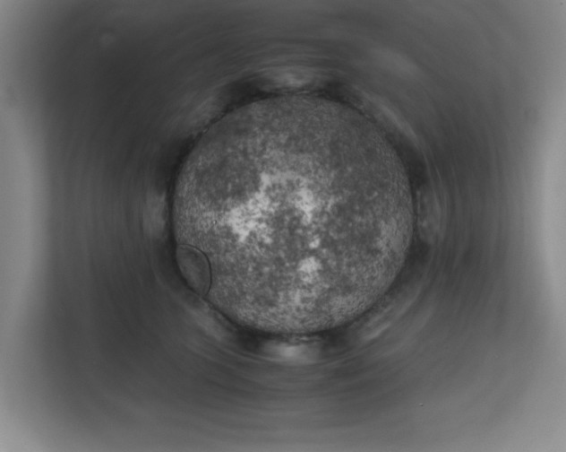 X0000111150563200907071111