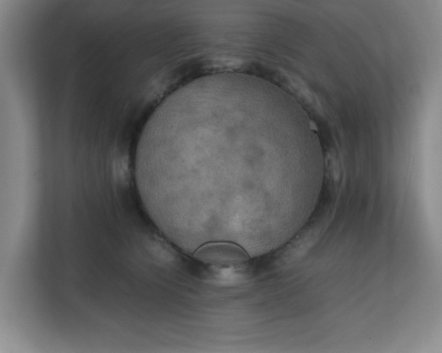 X0000111150564200907071111