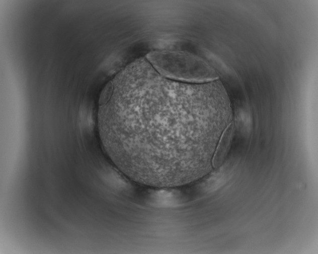 X0000111150566200907071111