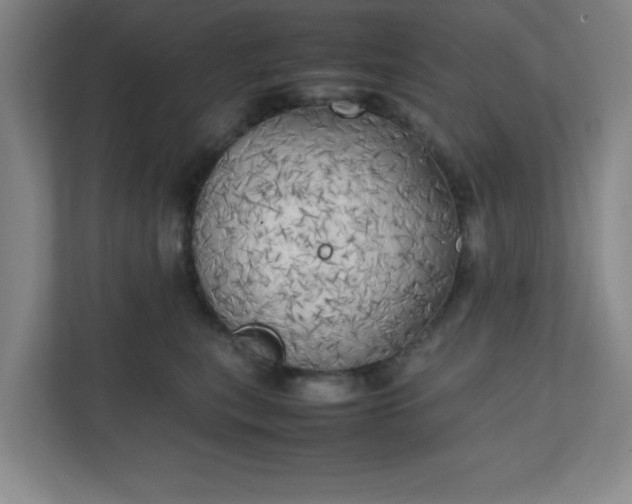 X0000111150567200907071111