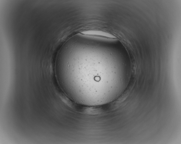 X0000111150568200907071111
