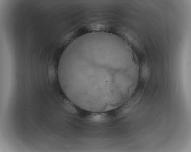 X0000111150569200907071111