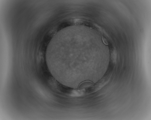 X0000111150571200907071111