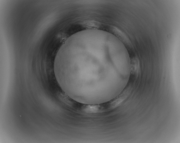 X0000111150573200907071111