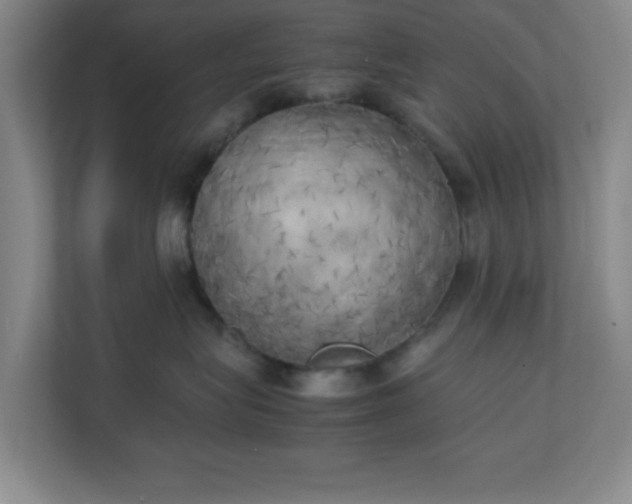 X0000111150575200907071111