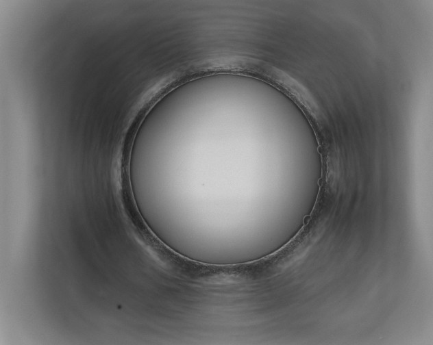 X0000111150578200907071111