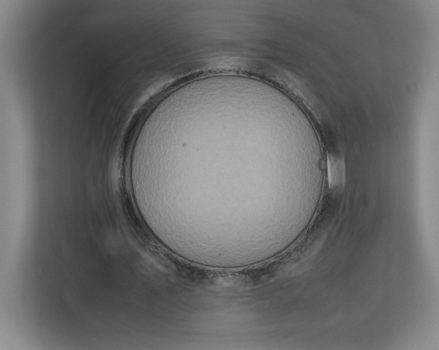 X0000111150579200907071111