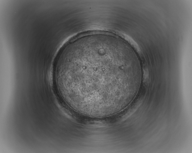 X0000111150580200907071111