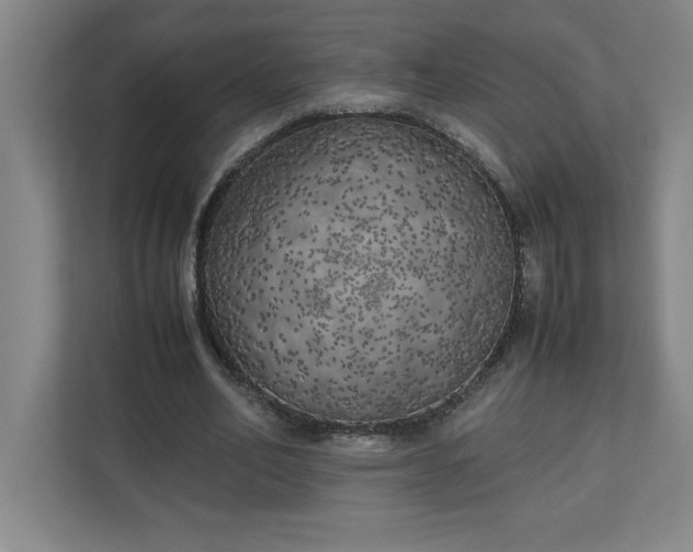 X0000111150582200907071111