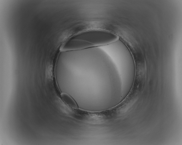 X0000111150585200907071111