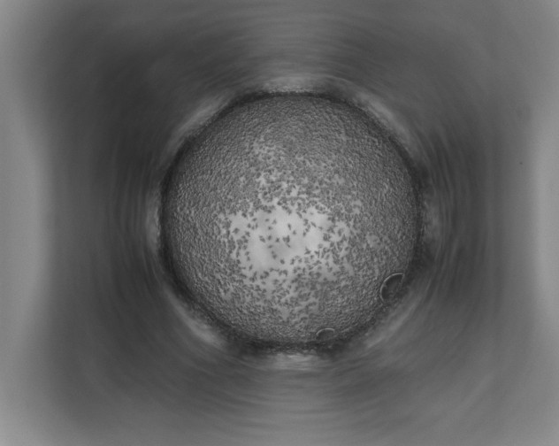 X0000111150586200907071110