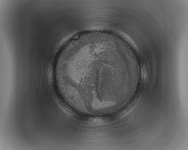 X0000111150588200907071110