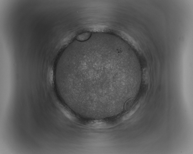 X0000111150589200907071110
