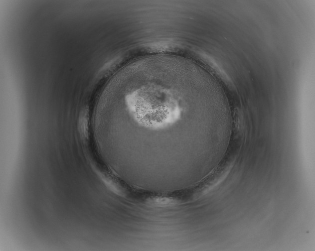 X0000111150590200907071110