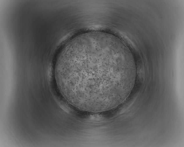 X0000111150591200907071110