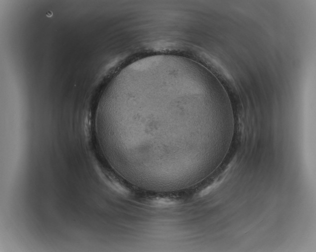 X0000111150592200907071110
