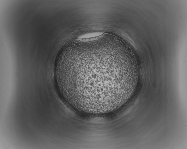X0000111150593200907071110