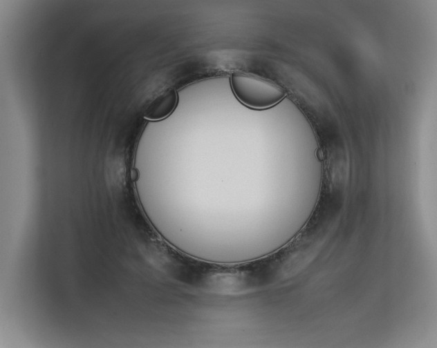X0000111150595200907071110