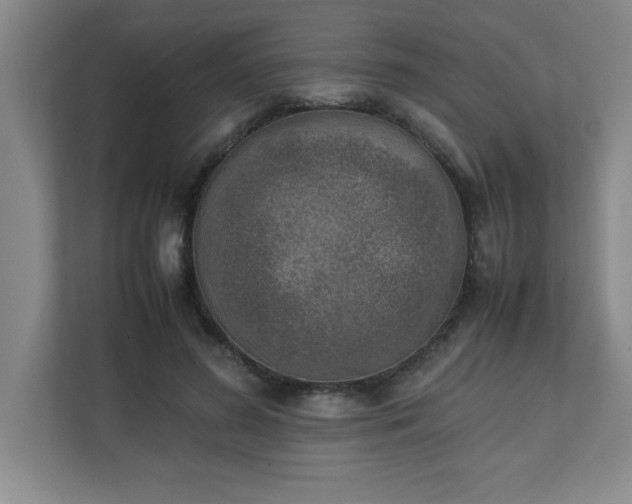 X0000111150596200907071110