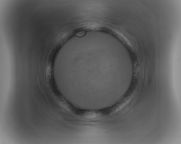 X0000111150597200907071110