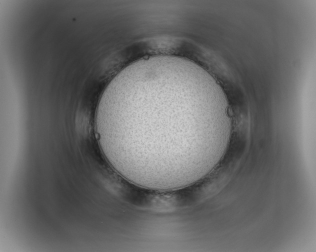 X0000111150599200907071110