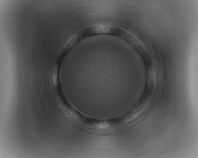 X0000111150600200907071110