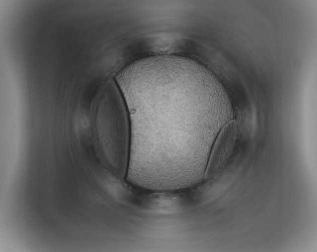 X0000111150601200907071110