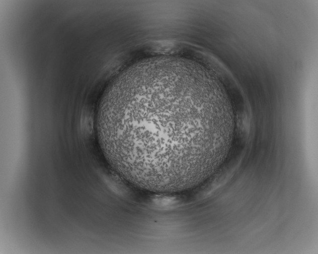 X0000111150602200907071110