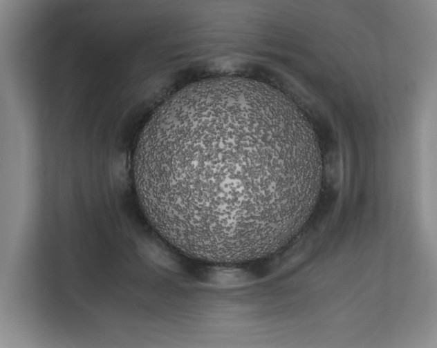 X0000111150605200907071110