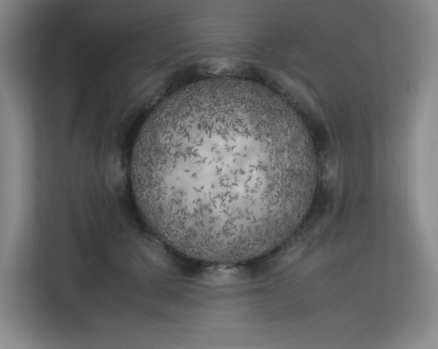 X0000111150607200907071110