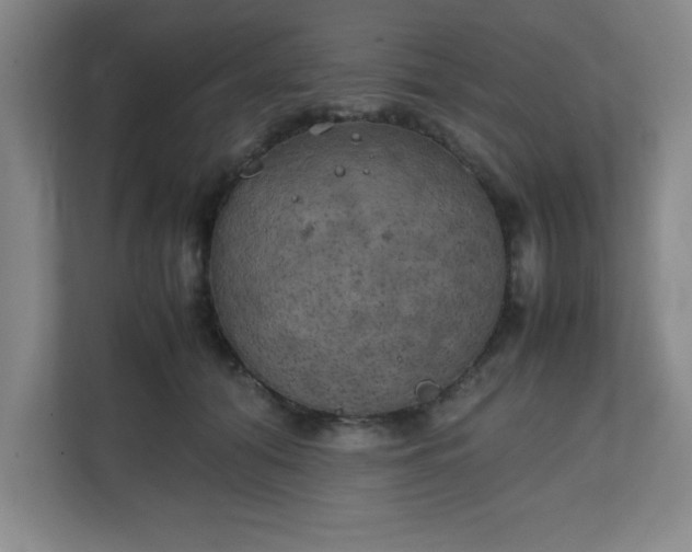 X0000111150608200907071110