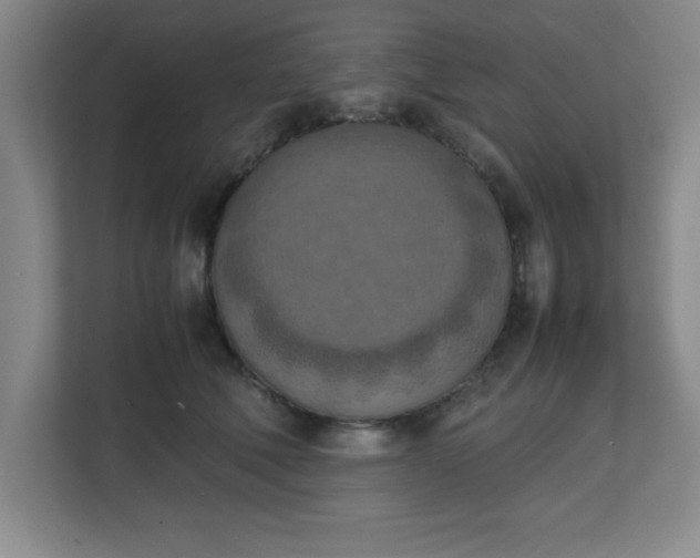 X0000111150610200907071110
