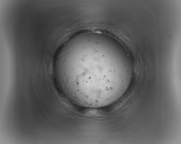 X0000111150611200907071110