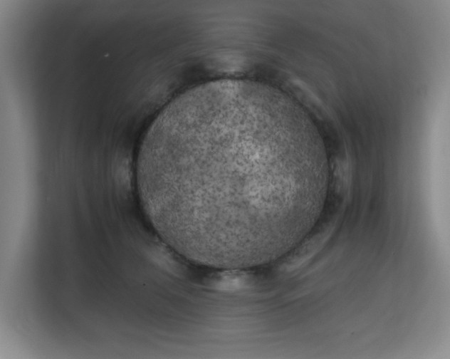 X0000111150612200907071110