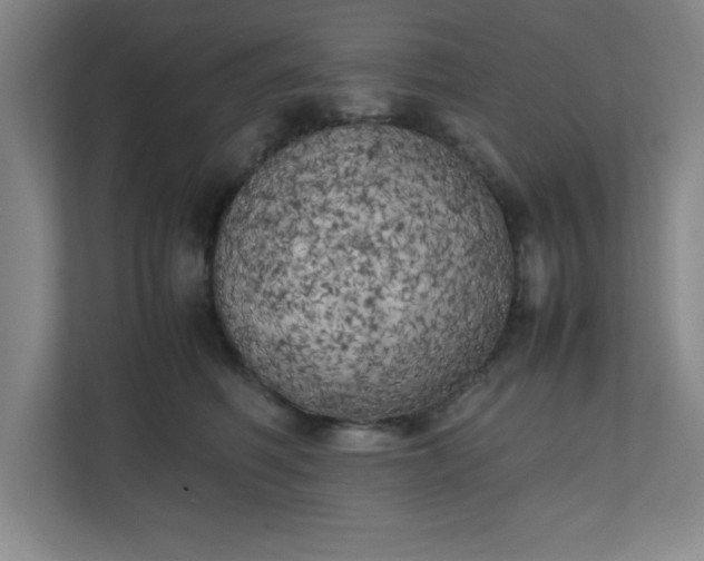 X0000111150614200907071110